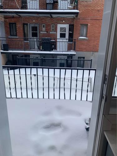 Appartement de 2 chambres à louer à Montreal - Rosemont–La Petite-Patrie — photo 13