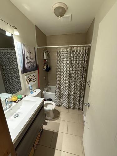 1 bedroom apartment for rent in Montreal - Le Plateau-Mont-Royal — photo 3