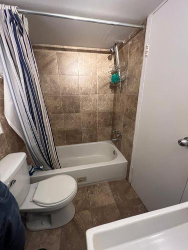 Appartement de 1 chambre à louer à Montreal - Le Plateau-Mont-Royal — photo 4