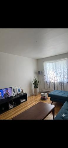 Appartement de 2 chambres à louer à Montreal - Rosemont–La Petite-Patrie — photo 3