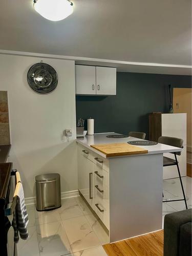 Appartement de 1 chambre à louer à Longueuil — photo 15