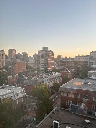 Appartement de 2 chambres à louer à Montreal - Le Plateau-Mont-Royal — photo 10