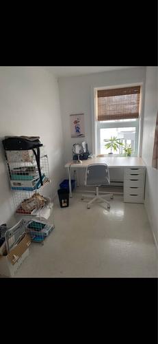 1 bedroom apartment for rent in Lévis — photo 3