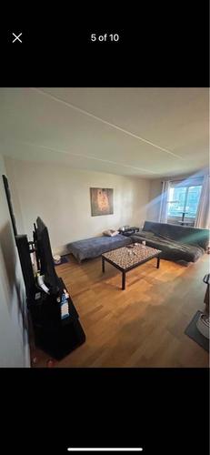 Appartement de 1 chambre à louer à Saint-Lambert (Montérégie) — photo 6