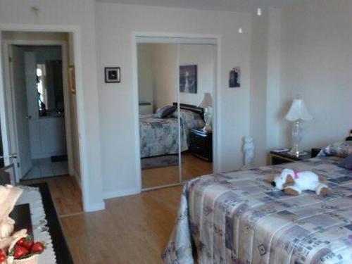 Appartement de 2 chambres à louer à Québec - La Cité-Limoilou — photo 8