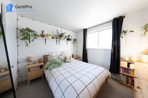 Studio à louer à Lévis — photo 4
