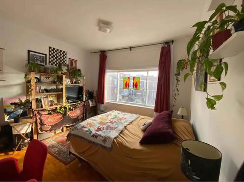 1 bedroom apartment for rent in Montreal - Le Plateau-Mont-Royal — photo 4