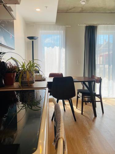 Appartement de 1 chambre à louer à Sherbrooke — photo 3