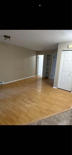 1 bedroom apartment for rent in Gatineau — photo 4