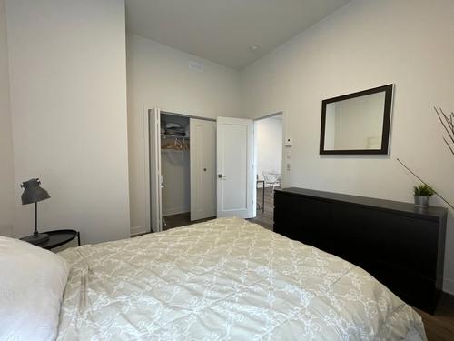 Appartement de 1 chambre à louer à Montreal - Le Plateau-Mont-Royal — photo 9