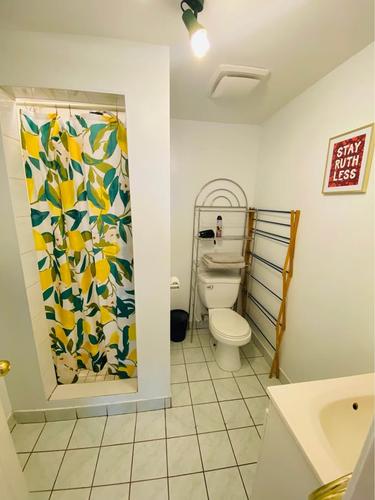 Studio for rent in Montreal - Le Plateau-Mont-Royal — photo 7