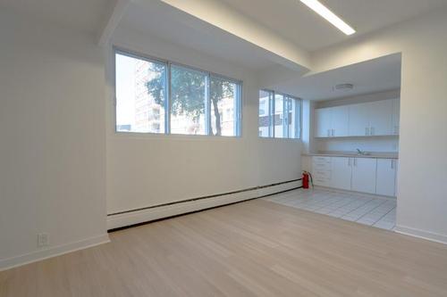 Appartement de 1 chambre à louer à Montreal - Saint-Laurent — photo 7