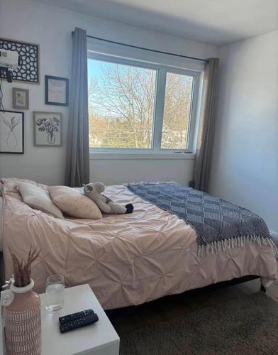 2 bedrooms apartment for rent in Lévis — photo 8