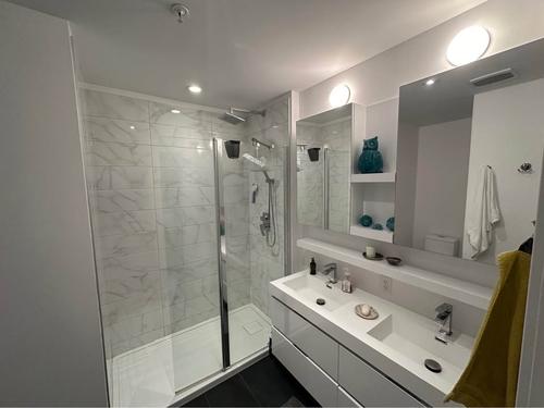 Appartement de 4 chambres à louer à Montreal - Le Plateau-Mont-Royal — photo 8