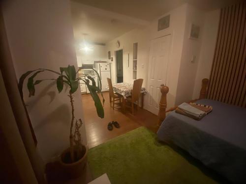 Studio à louer à Sherbrooke — photo 12