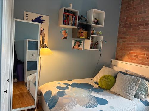 2 bedrooms apartment for rent in Montreal - Le Plateau-Mont-Royal — photo 13