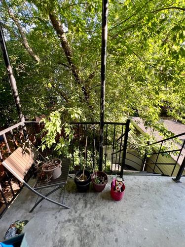 Appartement de 3 chambres à louer à Montreal - Verdun — photo 20