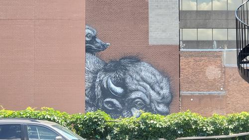Studio à louer à Montreal - Le Plateau-Mont-Royal — photo 10