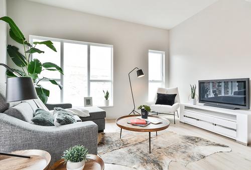 1 bedroom apartment for rent in Lévis — photo 2
