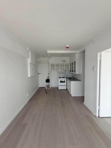 1 bedroom apartment for rent in Montreal - Ville-Marie — photo 3