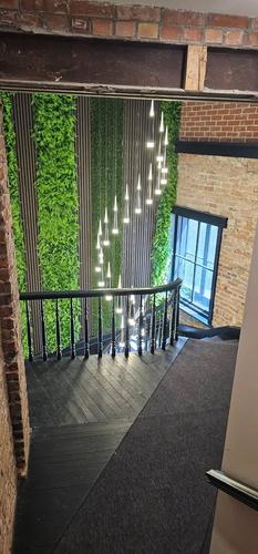 Appartement de 2 chambres à louer à Québec - La Cité-Limoilou — photo 16