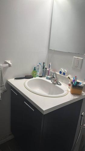 Appartement de 1 chambre à louer à Gatineau — photo 3