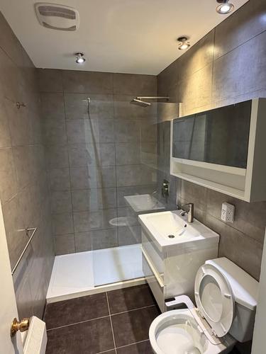 Appartement de 1 chambre à louer à Montreal - Rosemont–La Petite-Patrie — photo 4