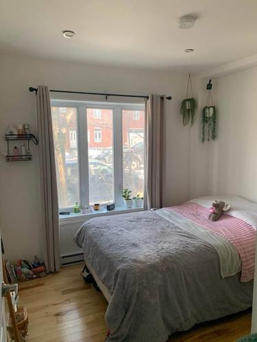 Appartement de 2 chambres à louer à Québec - La Cité-Limoilou — photo 10