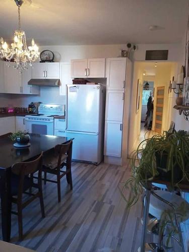 Appartement de 2 chambres à louer à Montreal - Mercier–Hochelaga-Maisonneuve — photo 3