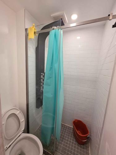 Appartement de 1 chambre à louer à Montreal - Ville-Marie — photo 11
