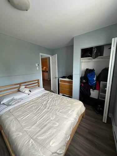 Appartement de 2 chambres à louer à Montreal - Rosemont–La Petite-Patrie — photo 14