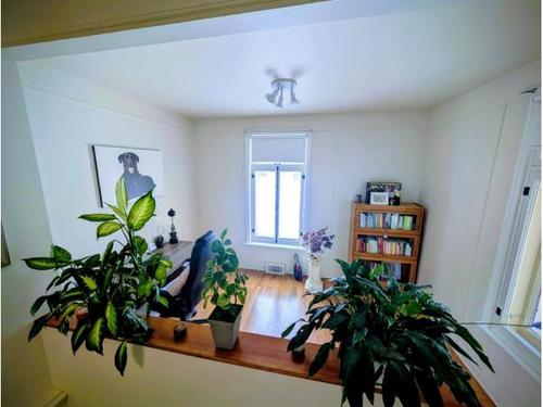 3 bedrooms apartment for rent in Lévis — photo 13