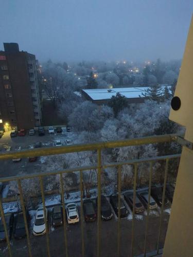 Appartement de 1 chambre à louer à Gatineau — photo 10