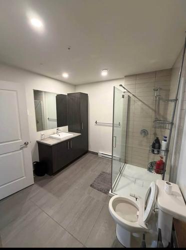 Appartement de 3 chambres à louer à Québec - La Cité-Limoilou — photo 8