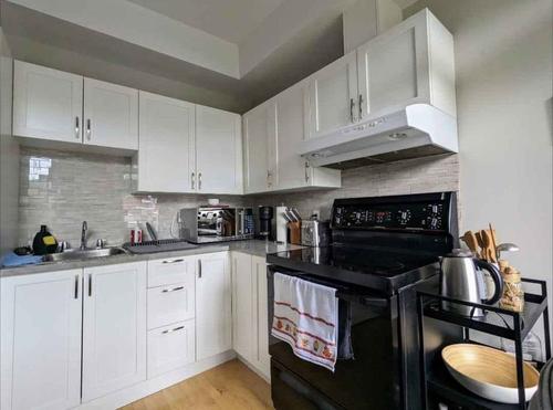 1 bedroom apartment for rent in Montreal - Le Plateau-Mont-Royal — photo 5