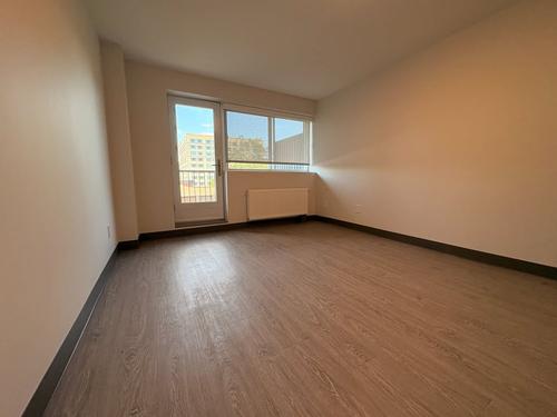 1 bedroom apartment for rent in Montreal - Rosemont–La Petite-Patrie — photo 7