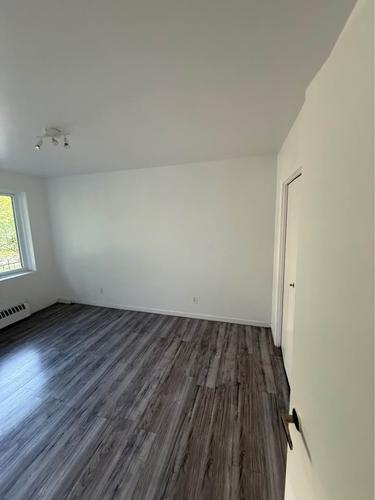1 bedroom apartment for rent in Montreal - Le Plateau-Mont-Royal — photo 7