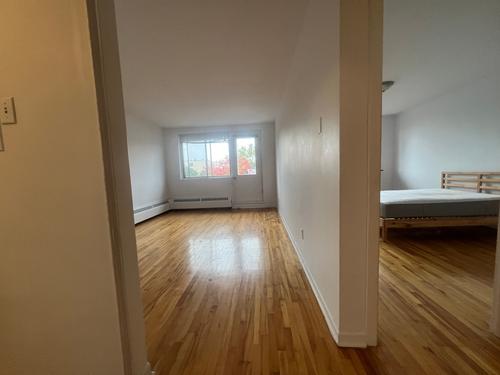 1 bedroom apartment for rent in Montreal - Rosemont–La Petite-Patrie — photo 3
