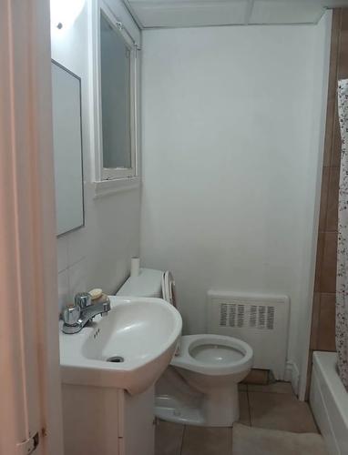 1 bedroom apartment for rent in Montreal - Le Plateau-Mont-Royal — photo 4