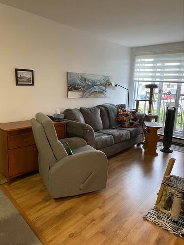 1 bedroom apartment for rent in Lévis — photo 4