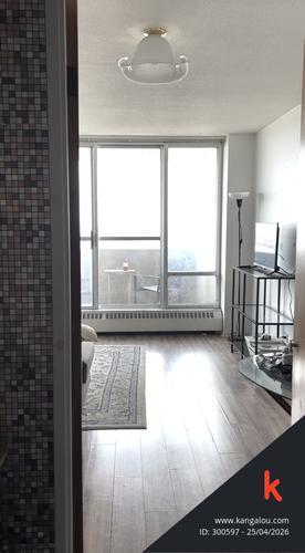 1 bedroom apartment for rent in Montreal - Le Plateau-Mont-Royal — photo 10