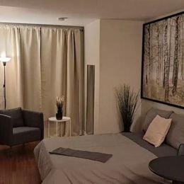 1 bedroom apartment for rent in Montreal - Rosemont–La Petite-Patrie — photo 12