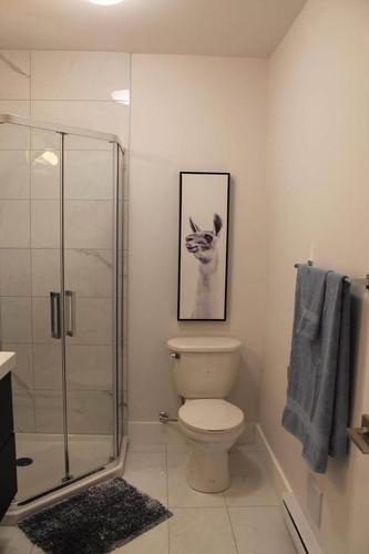 Appartement de 1 chambre à louer à Montreal - Ville-Marie — photo 11