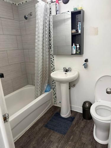 Studio à louer à Montreal - Mercier–Hochelaga-Maisonneuve — photo 6