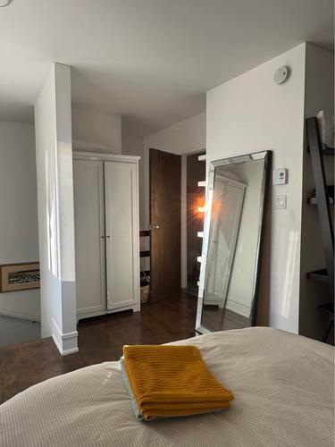 1 bedroom apartment for rent in Montreal - Le Plateau-Mont-Royal — photo 13