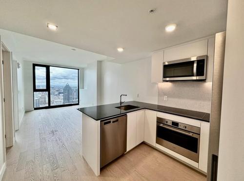 Appartement de 1 chambre à louer à Montreal - Ville-Marie — photo 3