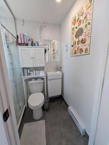 1 bedroom apartment for rent in Montreal - Le Sud-Ouest — photo 5