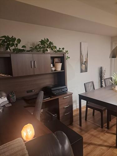 Appartement de 1 chambre à louer à Lévis — photo 13