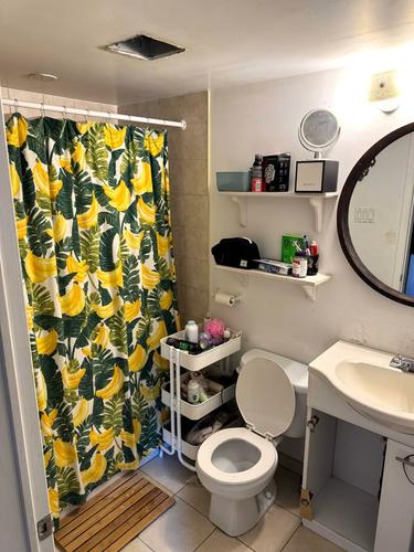 2 bedrooms apartment for rent in Montreal - Le Plateau-Mont-Royal — photo 3