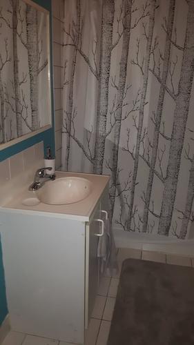 Studio à louer à Québec - La Cité-Limoilou — photo 4